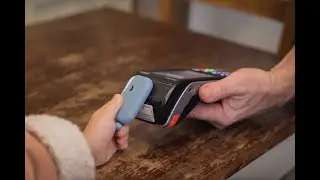 Money Walkie - Le porte-monnaie sans contact de la famille 🦜 🐼 🐳 🐻