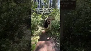 You Finished the Hike | We did it!