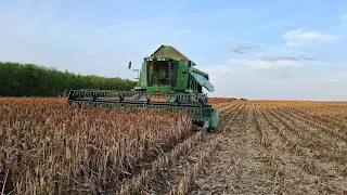 NEM indul a KOMBÁJN! l Cirok aratás 2025 - John Deere 9660 WTS