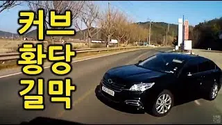 [블랙박스] 커브에서 역방향 길막, 고의급정거하고 3명 내림 보배드림 공식 유튜브