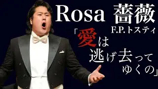 【テノール】F.P.トスティ作曲/薔薇/F.P.Tosti/Rosa