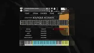 Evolution Boutique Acoustic - Oren Bridge