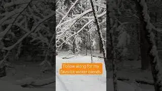 It&rsquo;s always #tea #season! #winter #herbaltea #health #routine #dailydose #365 #garden #snow