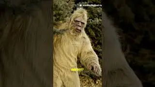 You Won't Believe This Real Bigfoot Law! 🤯  #shorts