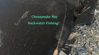 Awesome Day of Saltwater Fishing