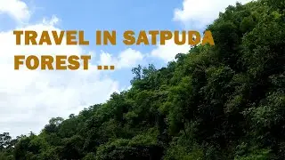 Travel In Satpuda Forest