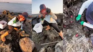 Ловля крабов 🐋 ловля рыбы на мелководье #ловля #рыбалка #краб #охота