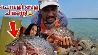 ചെമ്പല്ലി പിടിച്ചു വീട്ടിൽ പോയപ്പോൾ സംഭവിച്ചത് |mangrove jack fishing kerala