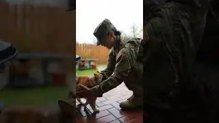 The cute cat just waited for the day his owner came home #catlover #pets #cute