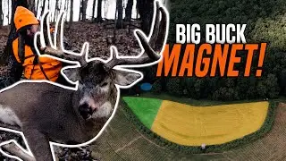 My Favorite Stand on the Whole Farm! | Bluff Country Hunting Strategy