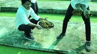 Agriculture Farm Per Lizard Lo Rescue Kiya 😱 #college #vlog #agriculture #lizard #lizard 🦎