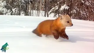 Winter moments most never get to see...