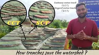 Trench | Contour trenching | Trenching system| Continuous trenches (CCT) | Staggered trenches (SCT)