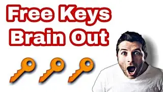 Basic Cheats in Brain Out