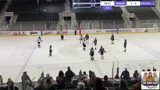 Live powered by Swish Live app SNAKES VS ICE FLYERS