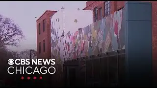 Chicago's National Public Housing Museum now open in Little Italy