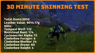How Much Gold Can You Make in 30 Minutes? Solo Skinning Test in WoW
