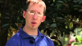 How to Bring Tropical Plants Indoors : Gardening Tips