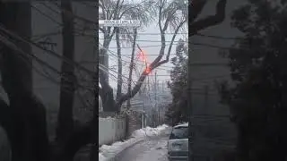 Freezing rain takes down trees and powerlines in eastern Ontario & Quebec #weather #icestorm