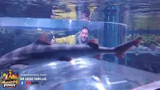 Experience the Amazing beauty of Sealife Busan Aquarium, Haeundae,  South Korea | Ian Arcas Canillas