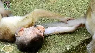 Pity baby Polly get play on the stone | What is wrong on poor baby Polly ? |
