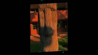#moai