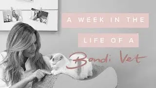 A WEEK IN THE LIFE OF A BONDI VET - Dr Kate Adams, Bondi Vet Weekly Recap