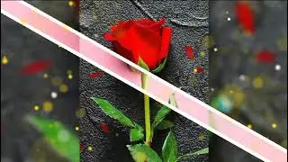 Gopal Burman,&hearts;️ Dil Sambhal ja Jara