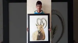Mountain Ibex Some Clips📎.#shorts