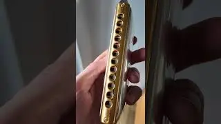 Chromatic harmonica - Suzuki Fabulous S48 🎵🥳🎵