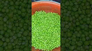 মটরশুঁটি ফ্রোজেন  পদ্ধতি। #shortsfeed #shortsfeed #youtubeshorts