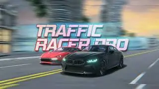 Traffic race Pro BMW accident