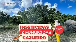 DEFENSIVOS PARA O CAJUEIRO