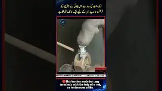 بھائی کا زبردست جگاڑ ایک نٹ کے ساتھ بیٹری کے ٹرمینل بنا دیے