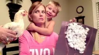 Halloween Crafts and Chickens