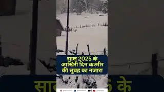 Kashmir Weather Update Cold Foggy Morning Before New Year