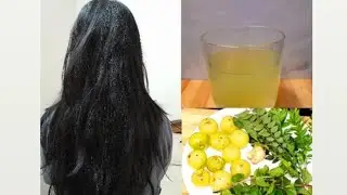 शॉट एक और फायदे अनेक #Amla Shorts #Juice For Healthy Hair #Weightloss #Glowing Skin #Amla Juice 