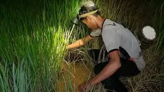 Traditional Khmer Fishing