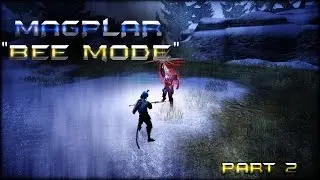 Bee Mode Magplar PvP #2 - Skills, Gear, CP and Surviving