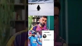 Virat Kohli DEACTIVATED instagram ?? #india #cricket #ipl  #cricketnews #viralvideo #viratkohli