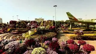Short view of Miracle garden 