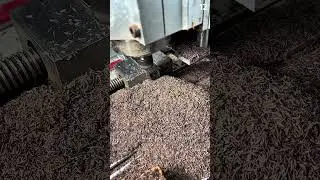 Precision milling carves crisp grooves into morning wood