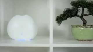 Aroma Bliss Essential Oil Diffuser