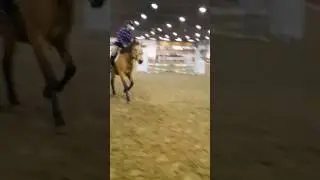 Evas first time jumping a course on Milly