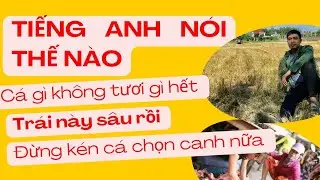 Tiếng anh n&oacute;i thế n&agrave;o? btenglish