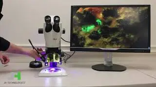 Leica S9i Fluorescence