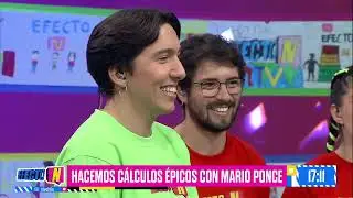 En Efecto N: Centro de rehabilitación de Aves Rapaces, juegos de pelotas y Disco Zombie