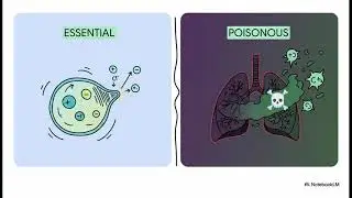Periyodik Tablo: Klor (Gerekli ve Zehirli)