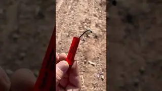 FUNKE BIRDBANGER P1🧨💥#fireworks #pyro #vuurwerk #boom #firecracker #funke #p1 #shorts #explosion