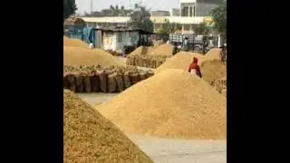 Bill Posting and Edit in Anaj Mandi Software (Video 2)